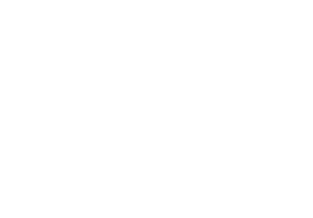 McGuigan Pepin Inc. logo