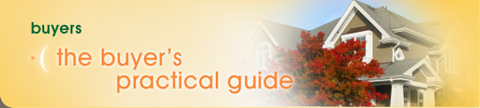 Buyers: The Buyer's Practical Guide