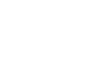 McGuigan Pepin Inc. logo